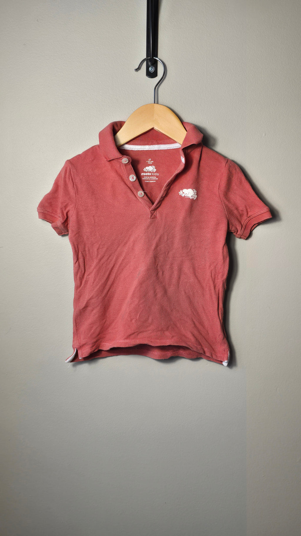Polo Roots 4T