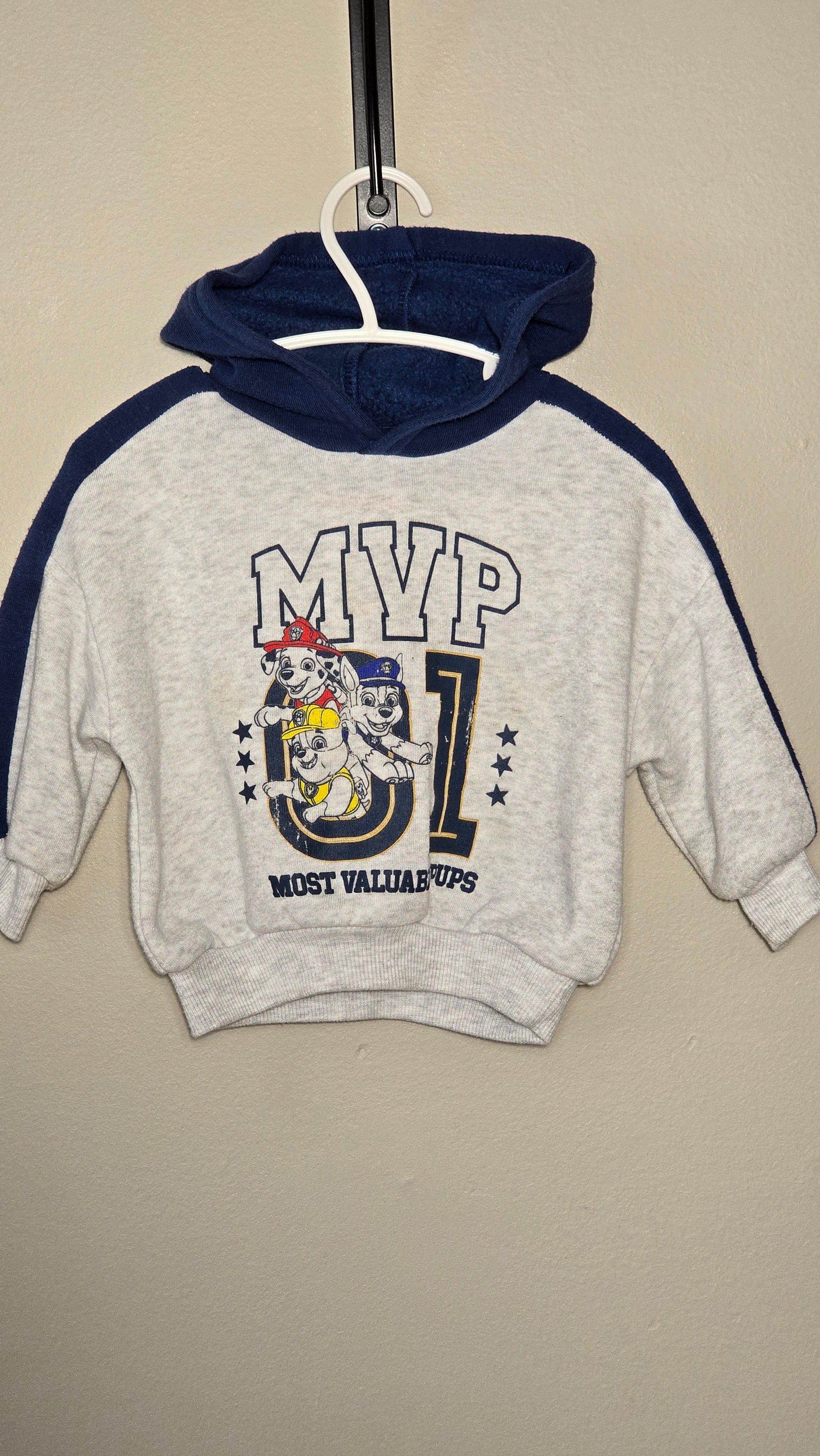 Paw Patrol Hoodie | Nickelodeon | 12 months *Light frothy
