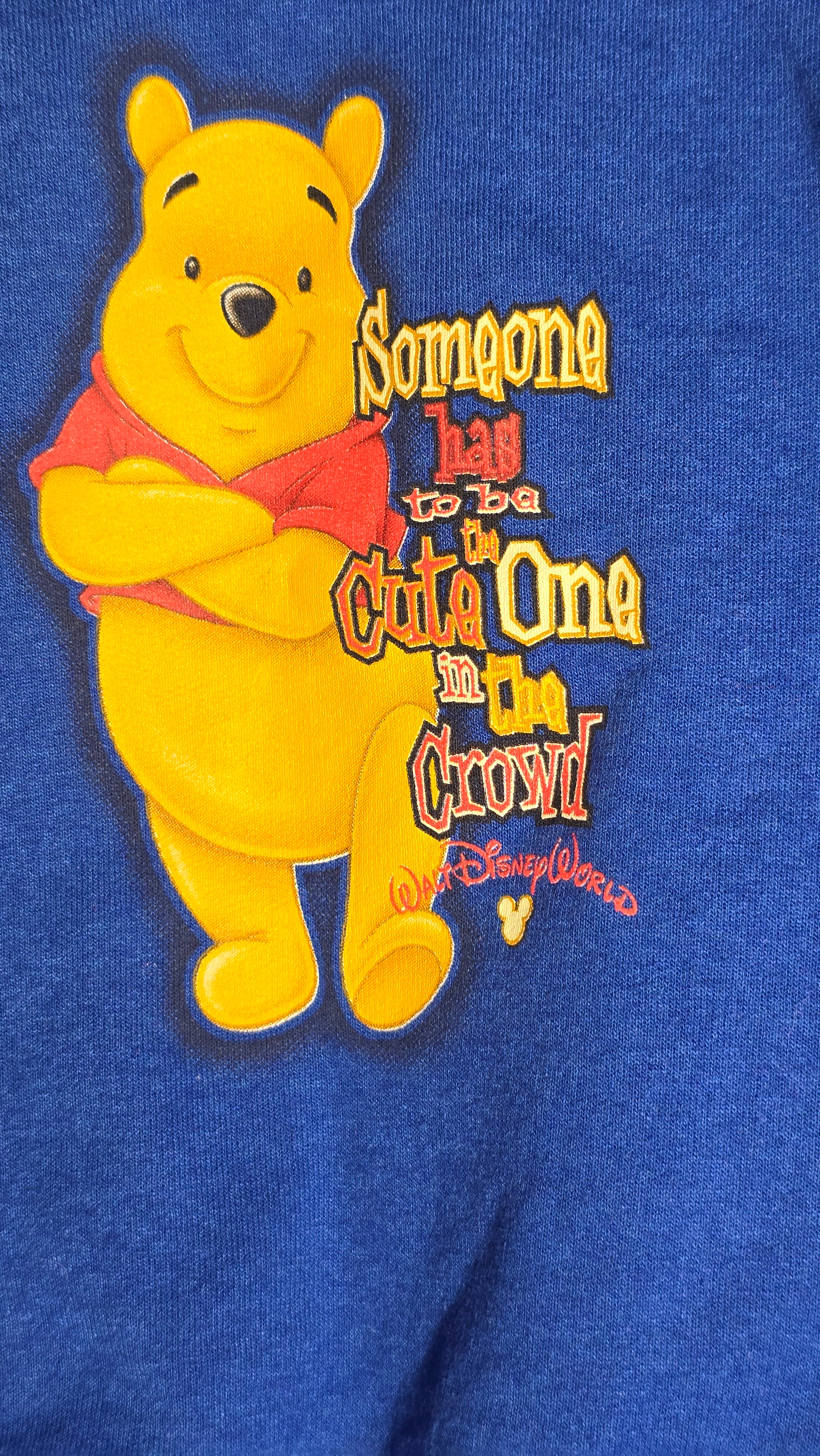 Crewneck Winnie l'ourson | Walt Disney World Baby | 18 mois *Vintage?