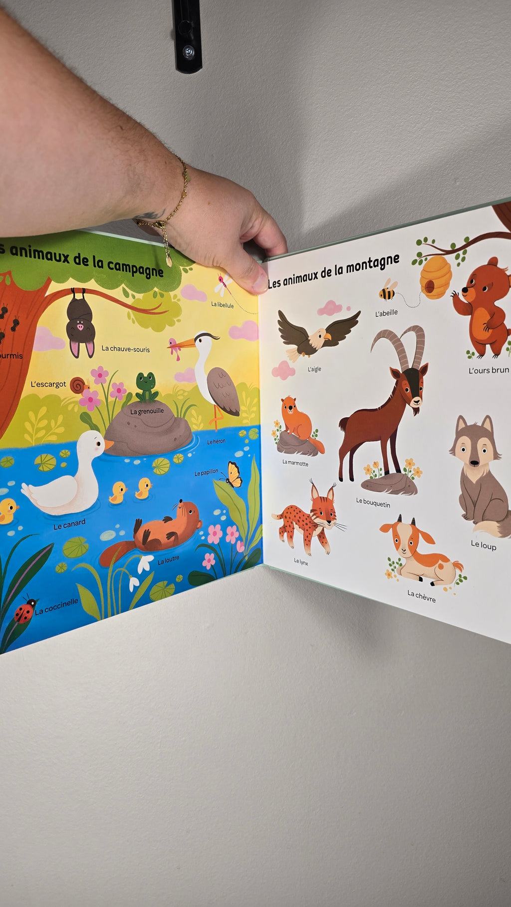 My 100 Words to Discover Animals Book (French)