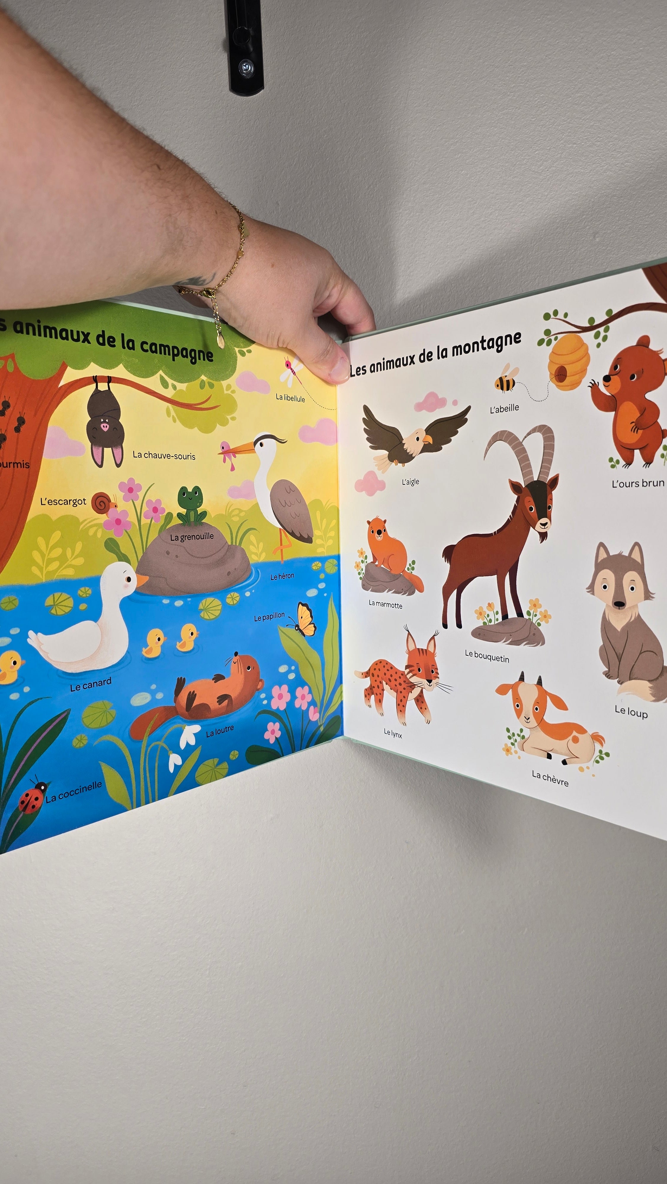 My 100 Words to Discover Animals Book (French)