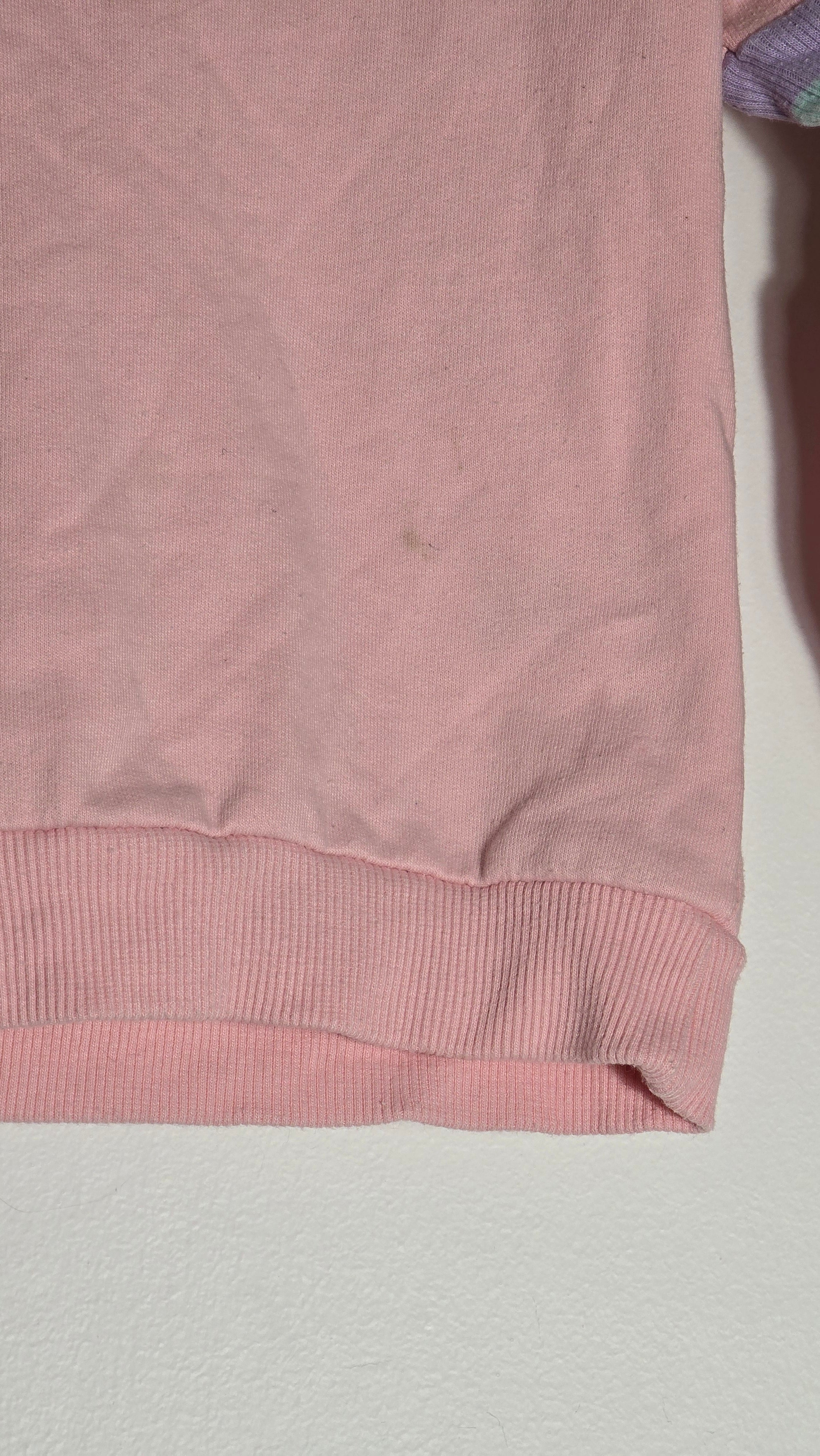 Crewneck | Champion | 24 mois *Portion de manche plus serrée, petite tache