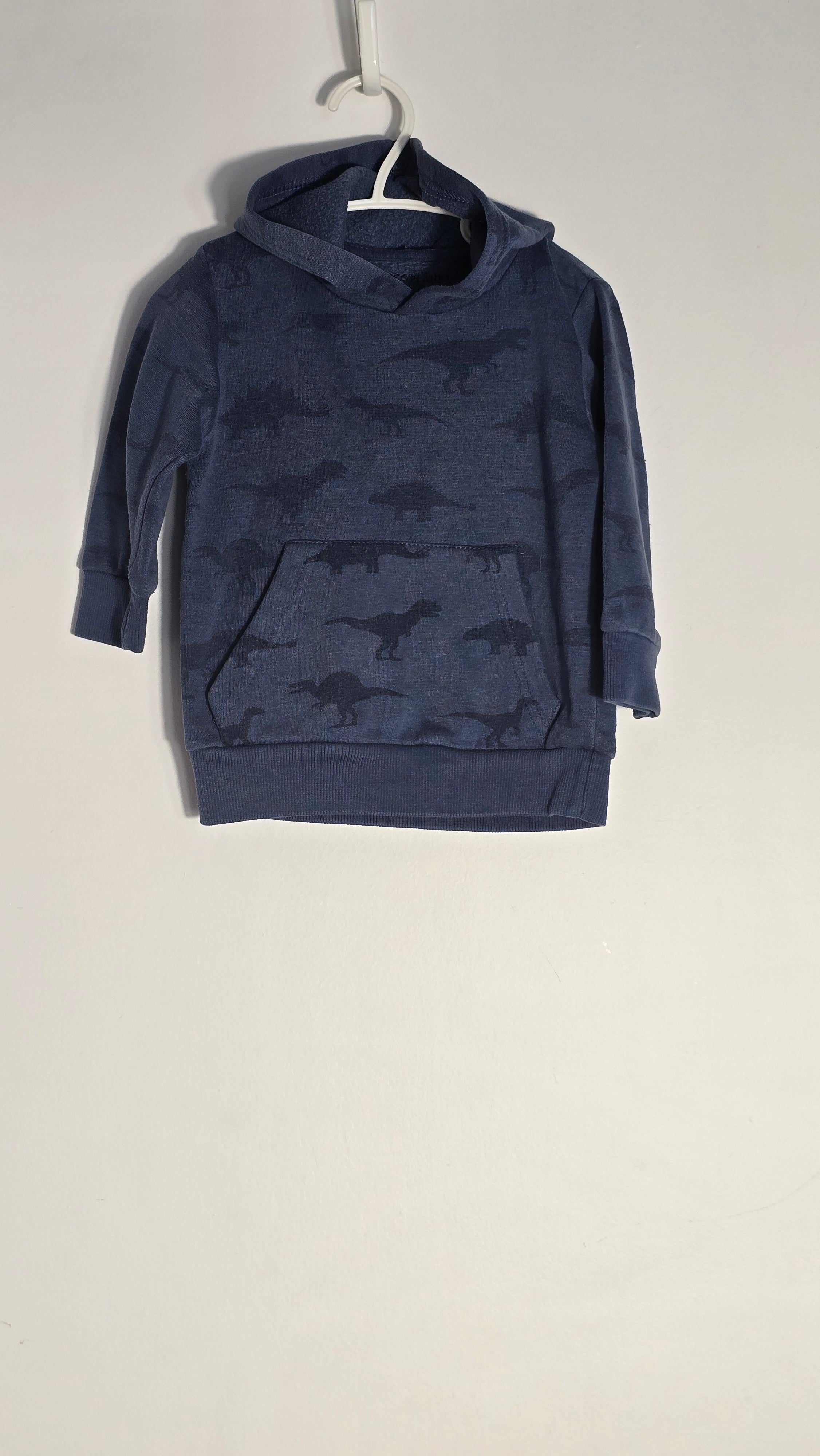 CONS VL 1 | Hoodie dinosaures | Free planet | 2T *Léger mousseux