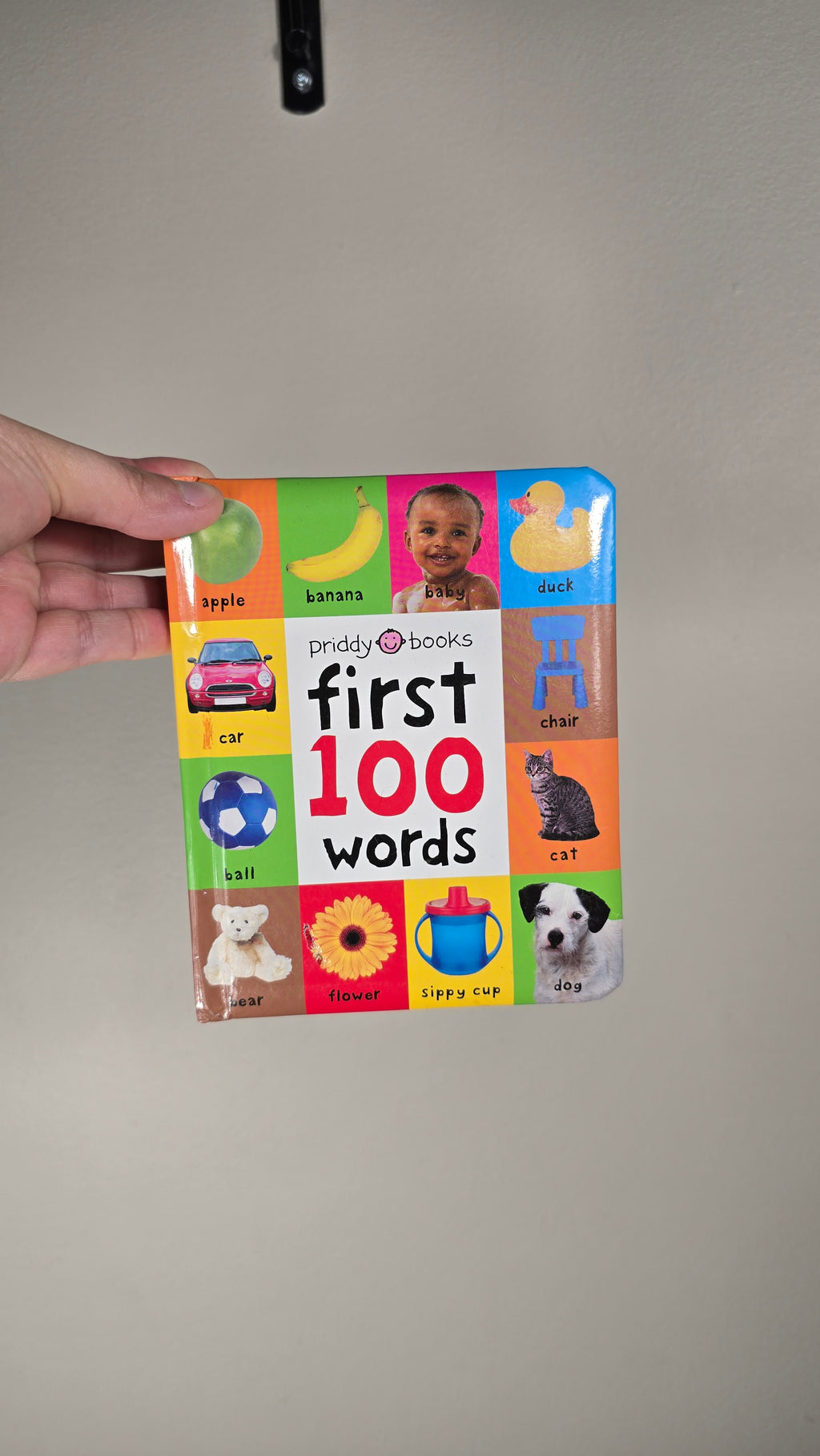Livre First 100 words (Anglais)