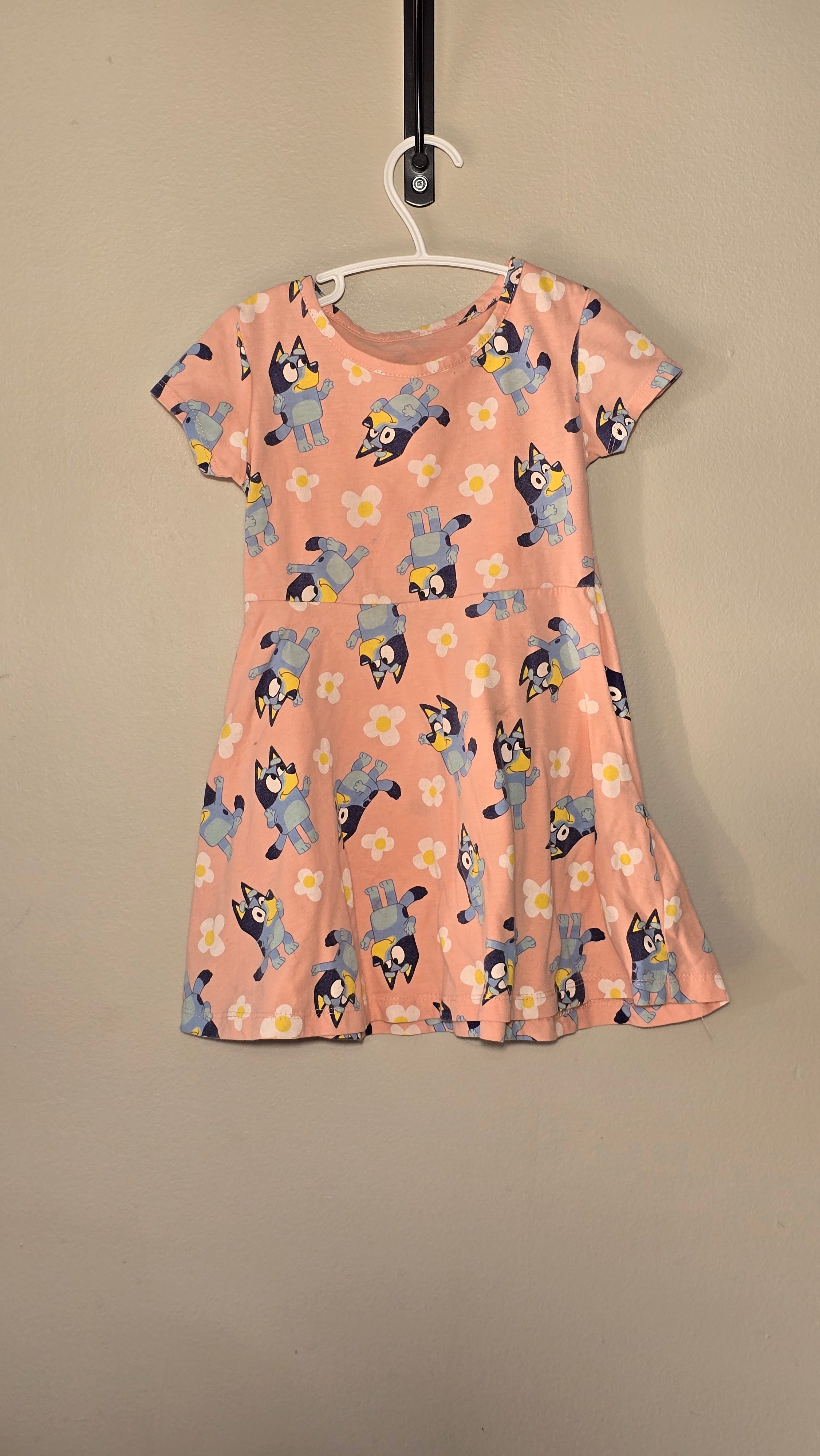 Robe | Bluey | 3T