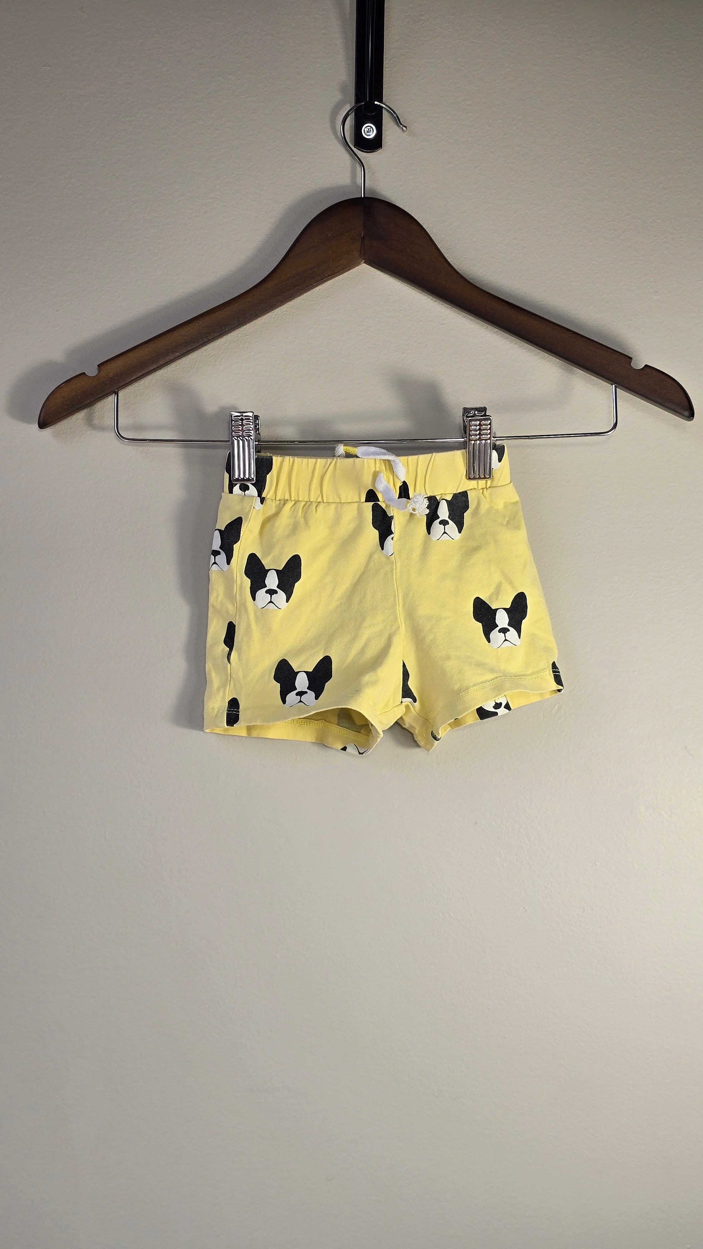 Short frenchie | TAG | 12 mois